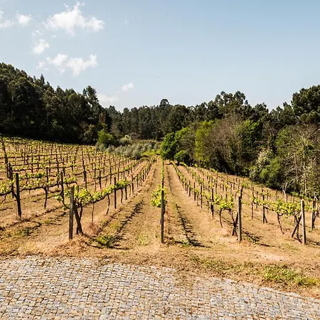 Casa Do Amial * カステロ・デ・パイヴァ