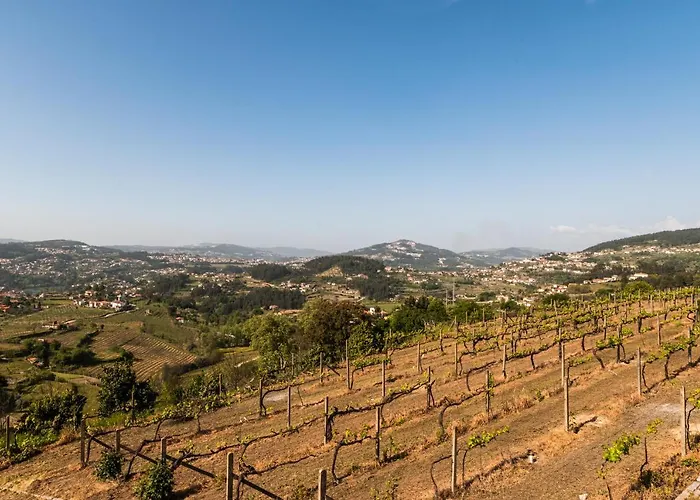 Casa Do Amial Castelo de Paiva