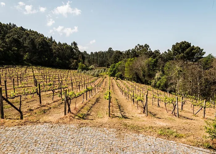 Casa Do Amial * Castelo de Paiva